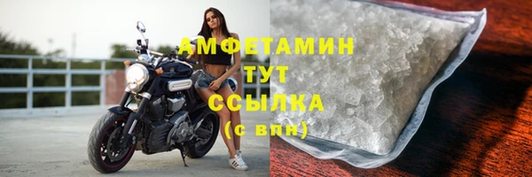 твердый Инта