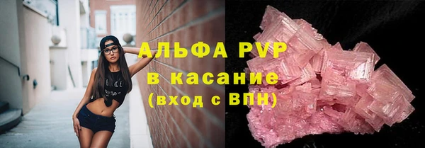 твердый Инта