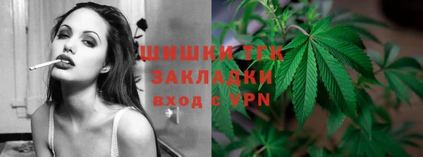 твердый Инта