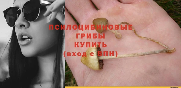твердый Инта