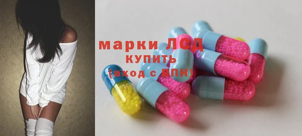 твердый Инта