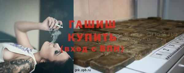 твердый Инта