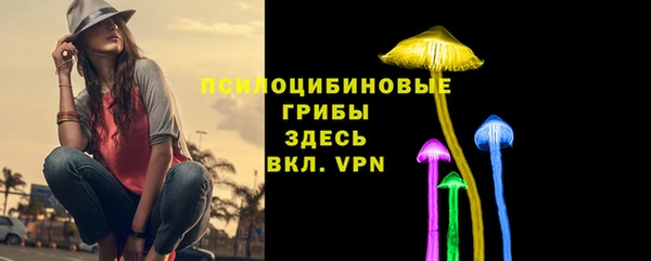 твердый Инта
