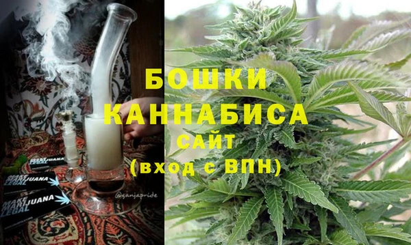 твердый Инта