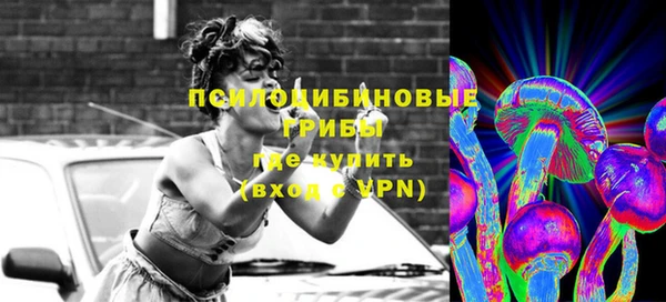 твердый Инта