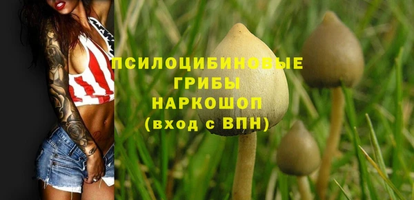 прущие крисы Иннополис