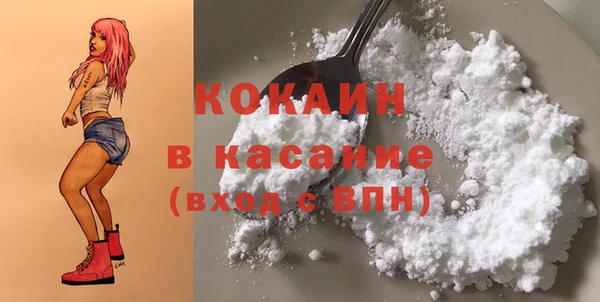 твердый Инта