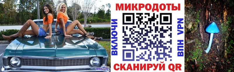 Купить закладки Фрязино Галлюциногенные грибы прущие грибы